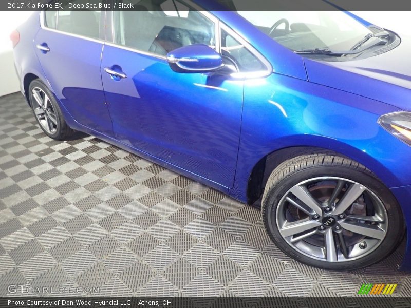 Deep Sea Blue / Black 2017 Kia Forte EX
