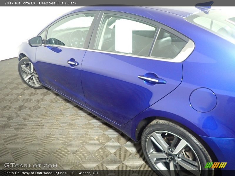 Deep Sea Blue / Black 2017 Kia Forte EX