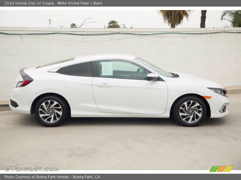 White Orchid Pearl / Black 2019 Honda Civic LX Coupe