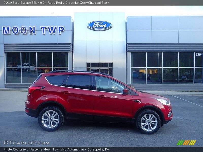 Ruby Red / Chromite Gray/Charcoal Black 2019 Ford Escape SEL 4WD