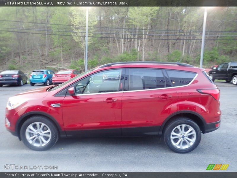 Ruby Red / Chromite Gray/Charcoal Black 2019 Ford Escape SEL 4WD