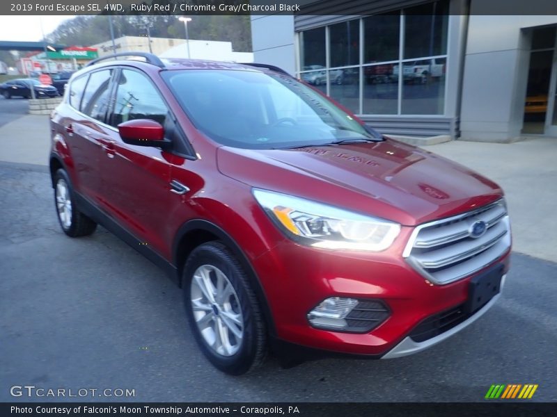 Ruby Red / Chromite Gray/Charcoal Black 2019 Ford Escape SEL 4WD