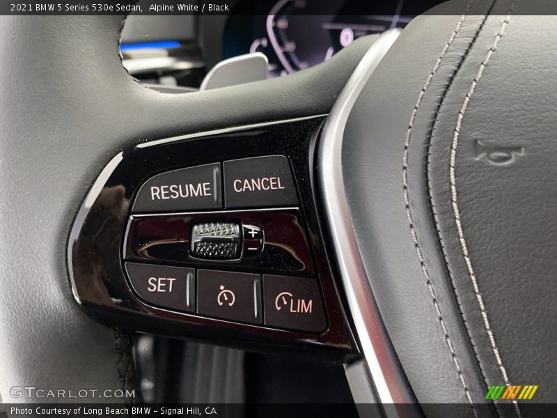  2021 5 Series 530e Sedan Steering Wheel