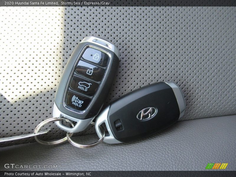 Stormy Sea / Espresso/Gray 2020 Hyundai Santa Fe Limited