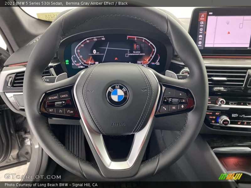  2021 5 Series 530i Sedan Steering Wheel