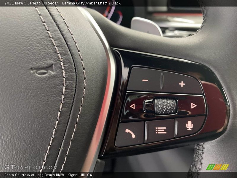  2021 5 Series 530i Sedan Steering Wheel