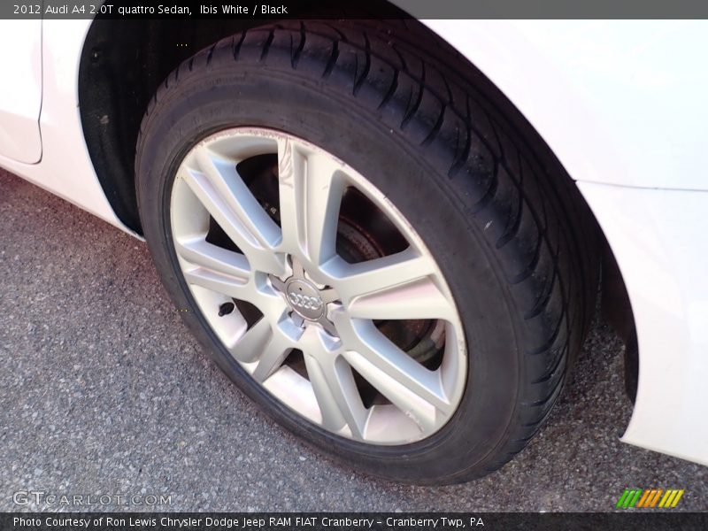Ibis White / Black 2012 Audi A4 2.0T quattro Sedan
