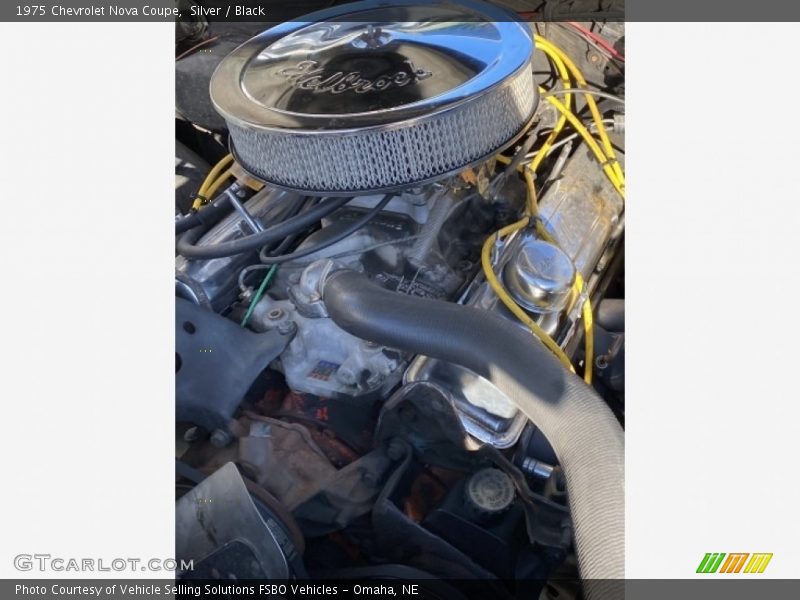 Silver / Black 1975 Chevrolet Nova Coupe