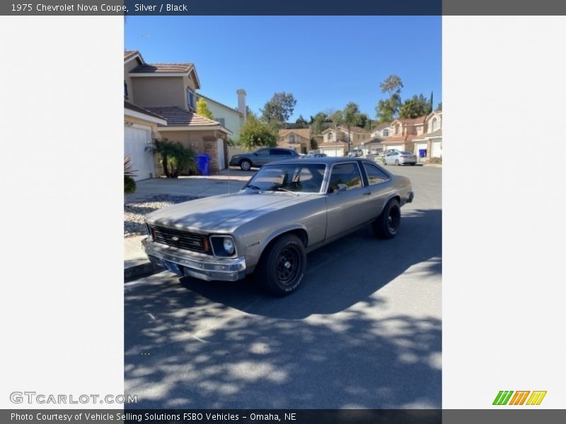 Silver / Black 1975 Chevrolet Nova Coupe