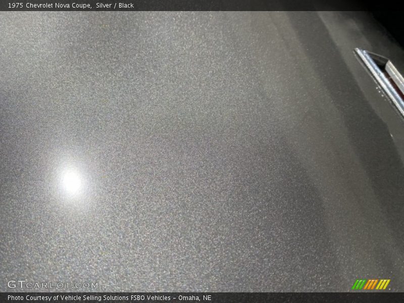 Silver / Black 1975 Chevrolet Nova Coupe
