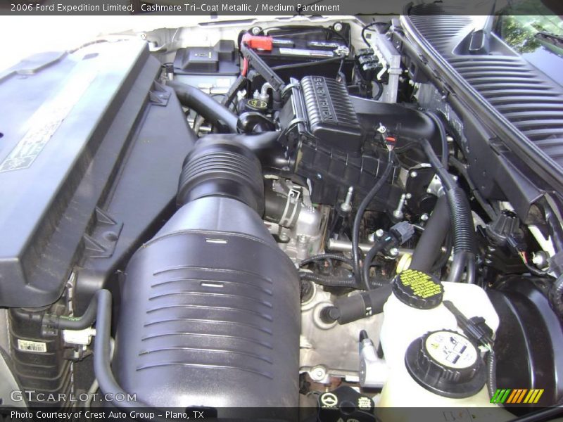 Cashmere Tri-Coat Metallic / Medium Parchment 2006 Ford Expedition Limited