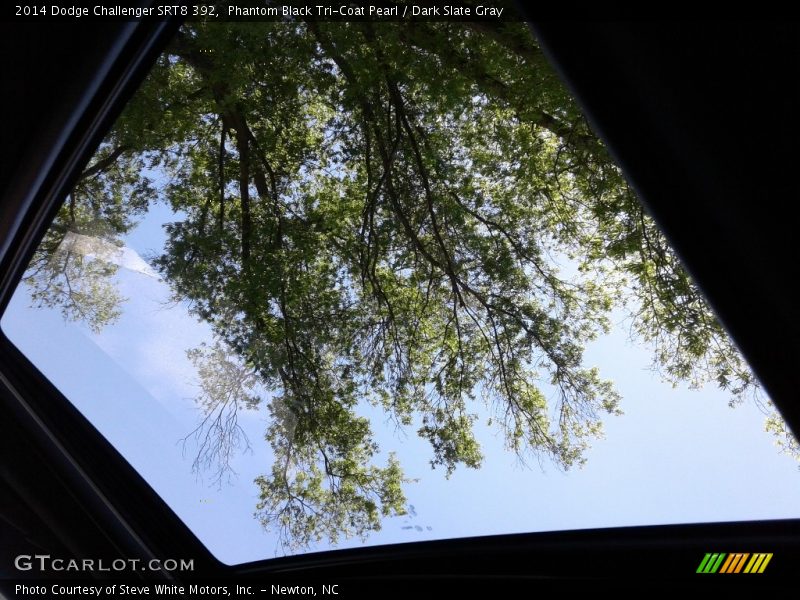 Phantom Black Tri-Coat Pearl / Dark Slate Gray 2014 Dodge Challenger SRT8 392