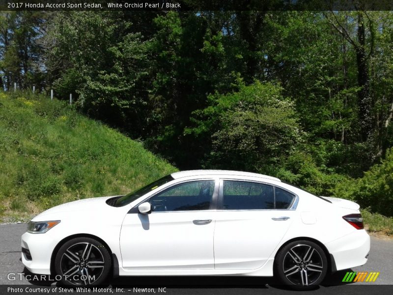 White Orchid Pearl / Black 2017 Honda Accord Sport Sedan