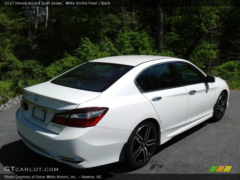 White Orchid Pearl / Black 2017 Honda Accord Sport Sedan