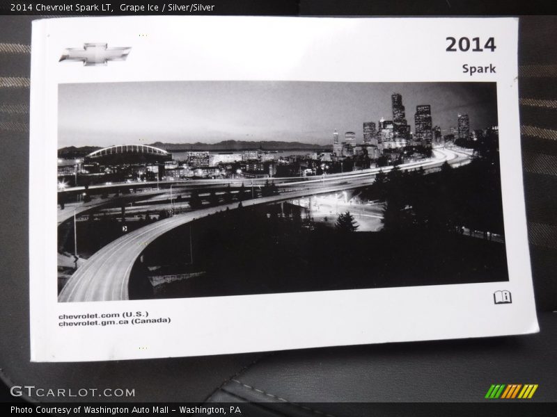 Grape Ice / Silver/Silver 2014 Chevrolet Spark LT