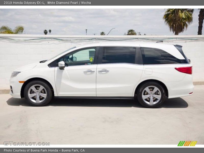 White Diamond Pearl / Mocha 2019 Honda Odyssey EX-L