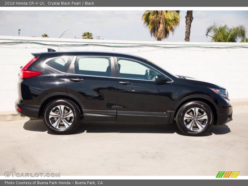 Crystal Black Pearl / Black 2019 Honda CR-V LX
