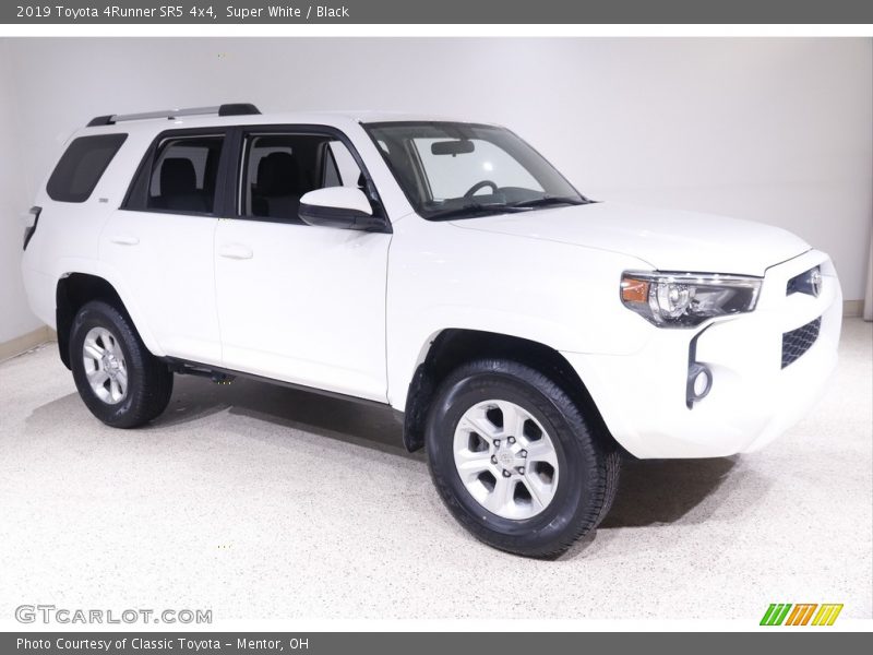 Super White / Black 2019 Toyota 4Runner SR5 4x4