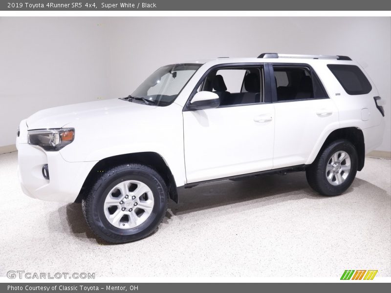 Super White / Black 2019 Toyota 4Runner SR5 4x4