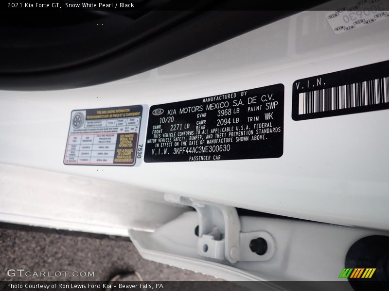 Snow White Pearl / Black 2021 Kia Forte GT
