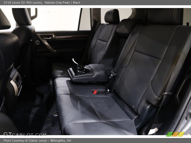Nebula Gray Pearl / Black 2018 Lexus GX 460 Luxury