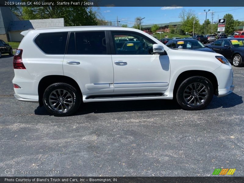 Starfire Pearl / Sepia 2019 Lexus GX 460 Luxury