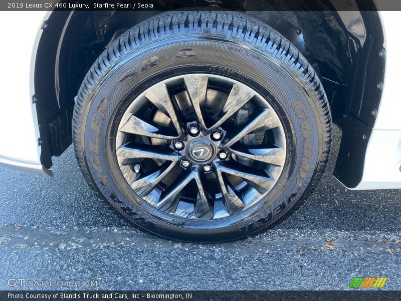 Starfire Pearl / Sepia 2019 Lexus GX 460 Luxury