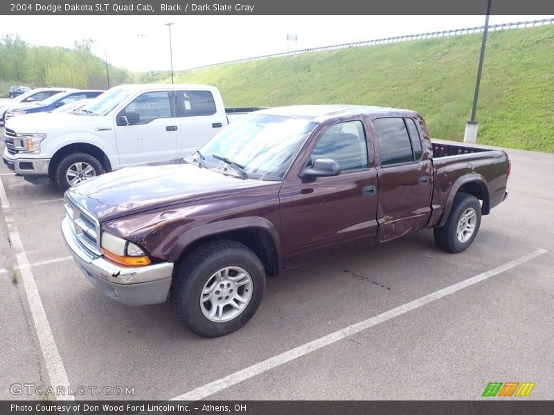 Black / Dark Slate Gray 2004 Dodge Dakota SLT Quad Cab