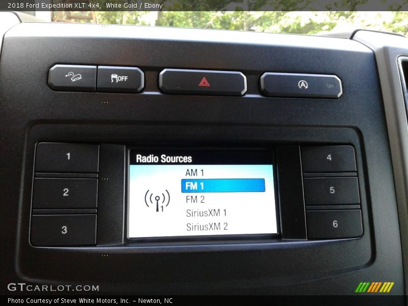White Gold / Ebony 2018 Ford Expedition XLT 4x4
