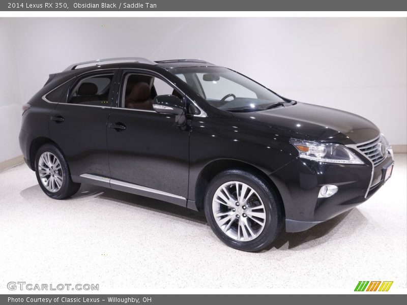 Front 3/4 View of 2014 RX 350