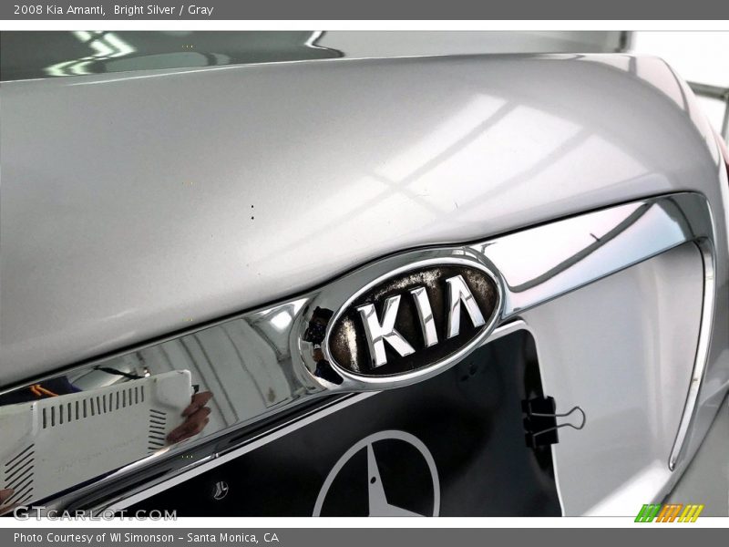 Bright Silver / Gray 2008 Kia Amanti