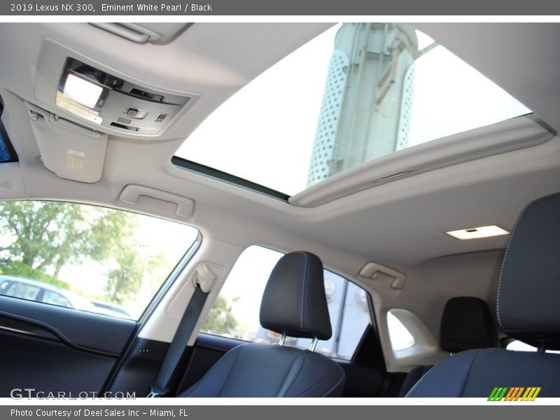 Eminent White Pearl / Black 2019 Lexus NX 300
