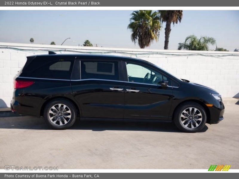 Crystal Black Pearl / Black 2022 Honda Odyssey EX-L