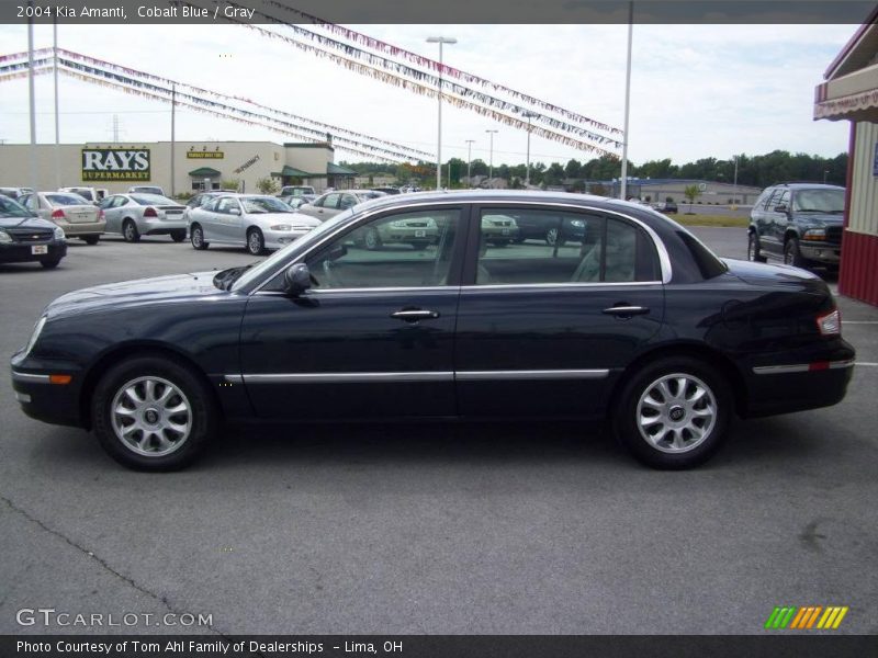 Cobalt Blue / Gray 2004 Kia Amanti