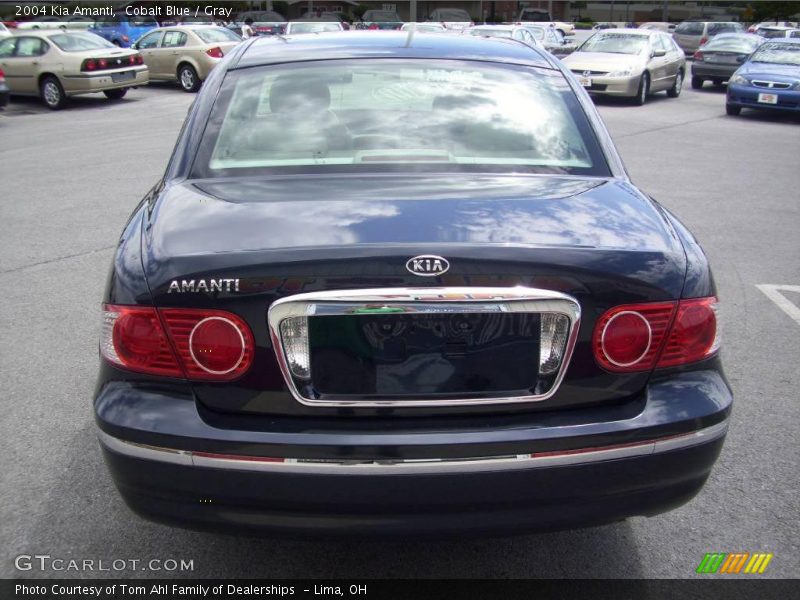 Cobalt Blue / Gray 2004 Kia Amanti