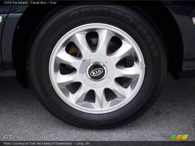 Cobalt Blue / Gray 2004 Kia Amanti