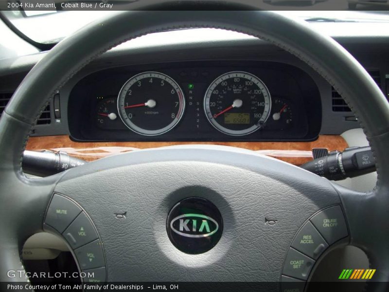 Cobalt Blue / Gray 2004 Kia Amanti