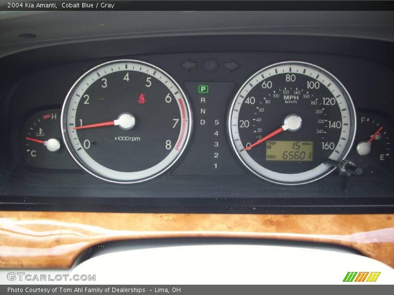 Cobalt Blue / Gray 2004 Kia Amanti