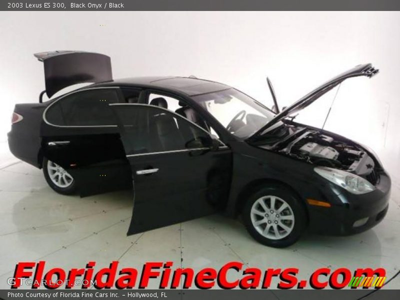 Black Onyx / Black 2003 Lexus ES 300