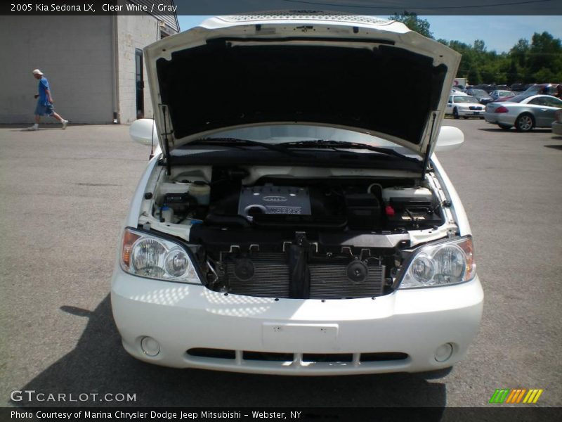 Clear White / Gray 2005 Kia Sedona LX
