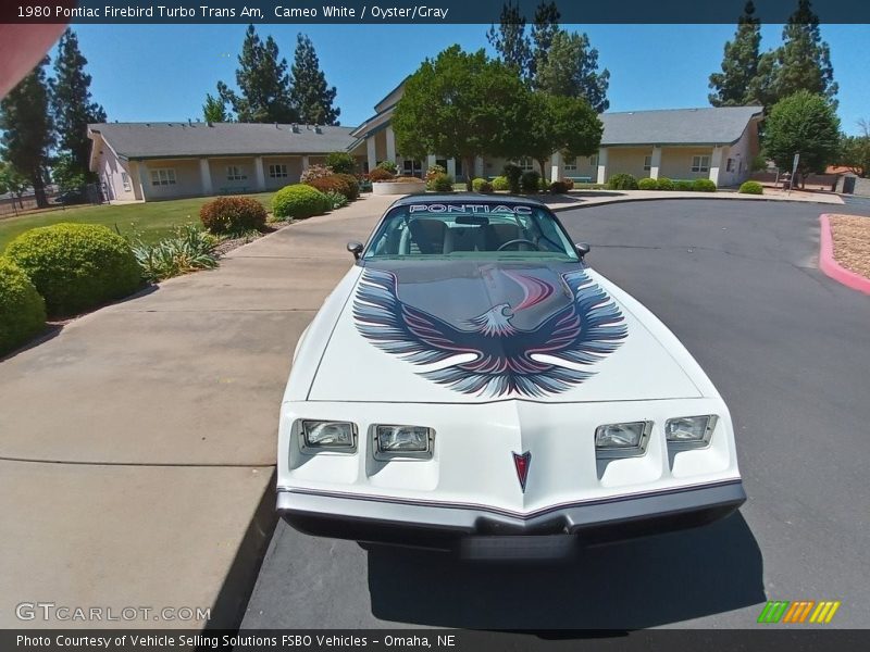 Cameo White / Oyster/Gray 1980 Pontiac Firebird Turbo Trans Am