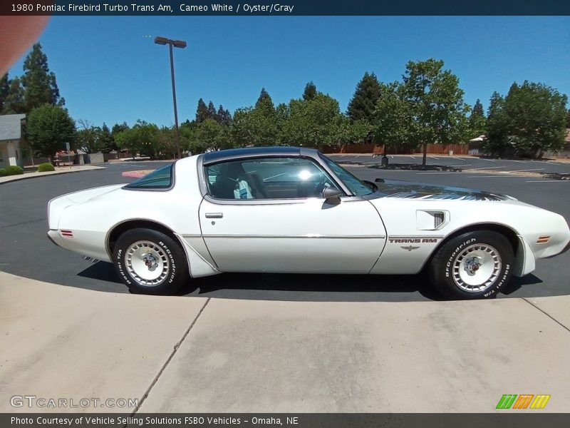 Cameo White / Oyster/Gray 1980 Pontiac Firebird Turbo Trans Am