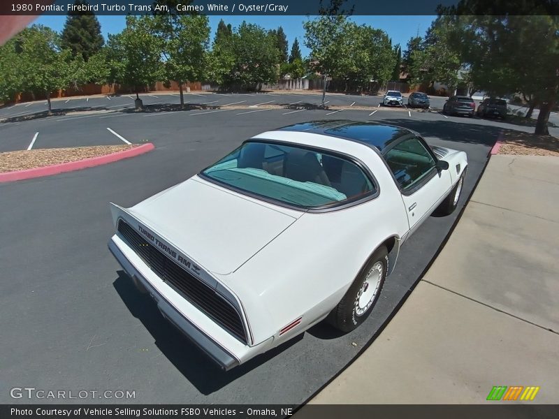 Cameo White / Oyster/Gray 1980 Pontiac Firebird Turbo Trans Am