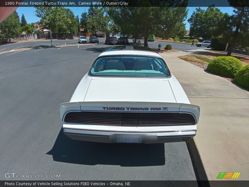 Cameo White / Oyster/Gray 1980 Pontiac Firebird Turbo Trans Am