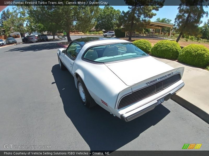 Cameo White / Oyster/Gray 1980 Pontiac Firebird Turbo Trans Am
