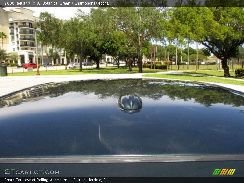 Botanical Green / Champagne/Mocha 2008 Jaguar XJ XJ8