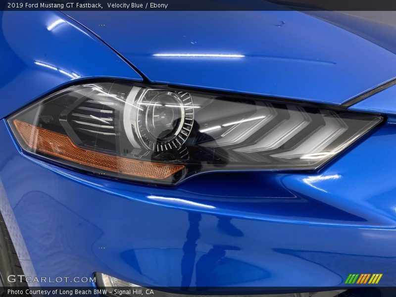 Velocity Blue / Ebony 2019 Ford Mustang GT Fastback