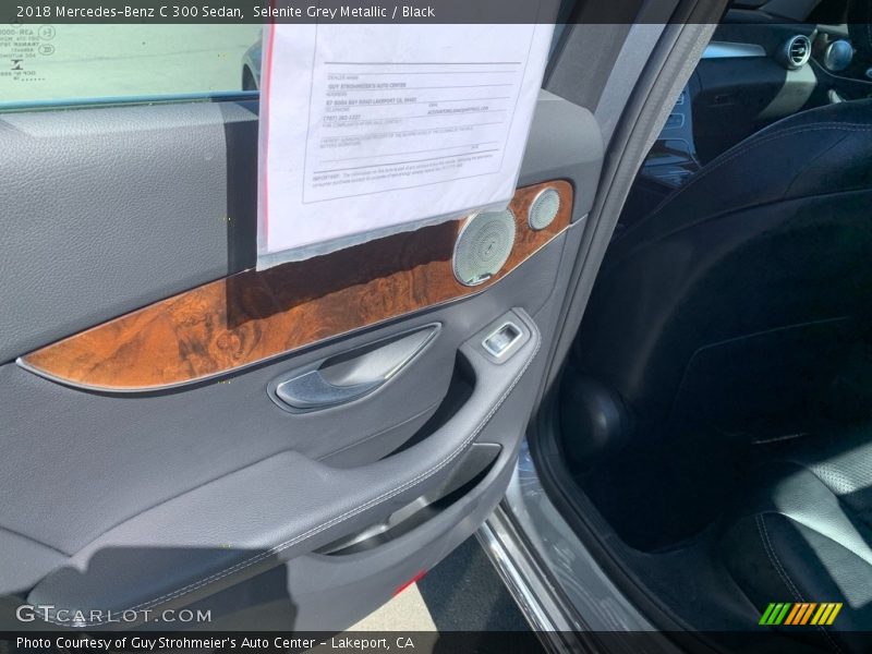 Selenite Grey Metallic / Black 2018 Mercedes-Benz C 300 Sedan
