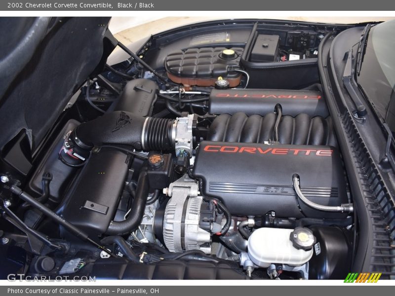 Black / Black 2002 Chevrolet Corvette Convertible