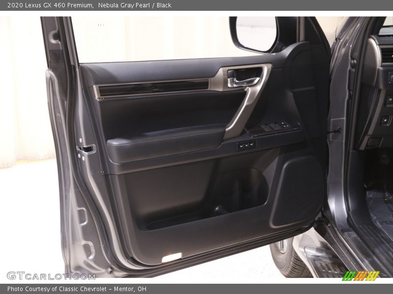 Door Panel of 2020 GX 460 Premium